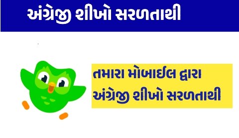 Duolingo App – Learn Languages in a Fun and Smart Way